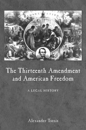 Cover of the book The Thirteenth Amendment and American Freedom by Kara Keeling