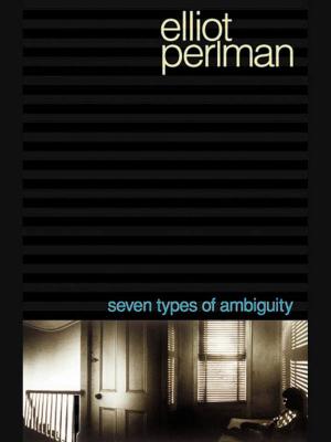 Cover of the book Seven Types of Ambiguity by Dawn Raffel
