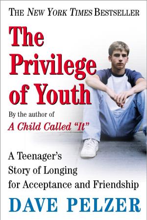 Book cover of The Privilege of Youth