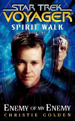 Book cover of Star Trek: Voyager: Spirit Walk #2: Enemy of My Enemy