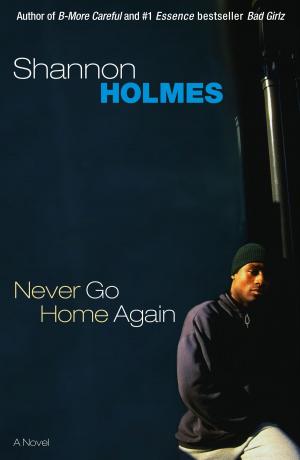 Cover of the book Never Go Home Again by Shakara Bridgers, Jeniece Isley, Joan A. Davis