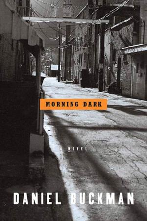 Cover of the book Morning Dark by Matt Richards