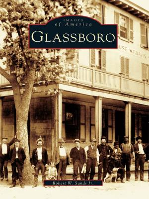 Cover of the book Glassboro by Rusty Tagliareni, Christina Mathews