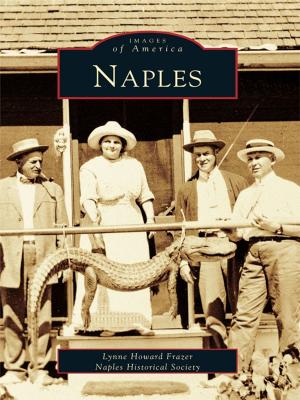 Cover of the book Naples by Kathryn Smith-McGlynn, Cecilia Gutierrez Venable, Maceo Crenshaw Dailey Jr.