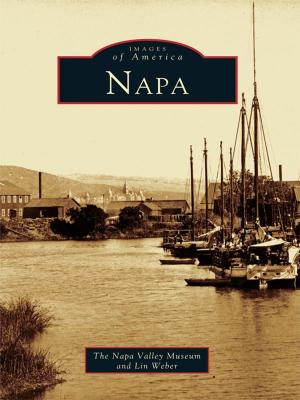 Cover of the book Napa by Jessica Hutchings