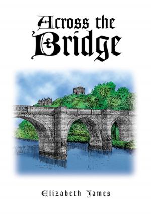 Cover of the book Across the Bridge by Brooklyn Haycraft, Cosmo Lanier-Eno