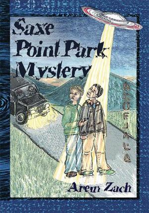 Cover of the book The Saxe Point Park Mystery by Scott A. Wheeler RT R MR CT