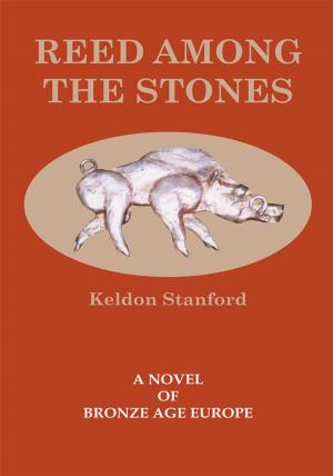 Cover of the book Reed Among the Stones by Ronald Regain