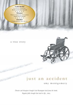 Cover of the book Just an Accident by Sandy Kay