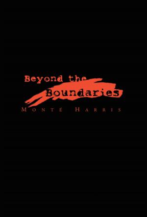 Cover of the book Beyond the Boundaries by Towanda McEachern