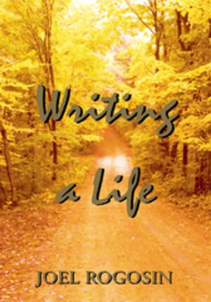 Cover of the book Writing a Life by Michael E. Oppitz