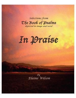 Cover of the book In Praise by Rev. C.E. Hogan