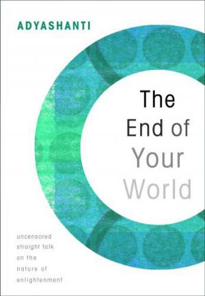 Cover of the book The End Of Your World by Jelson Oliveira