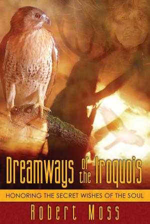 Book cover of Dreamways of the Iroquois