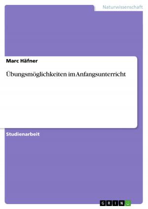 Cover of the book Übungsmöglichkeiten im Anfangsunterricht by Tamara Schaub