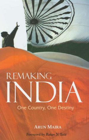 Cover of the book Remaking India by Carolyn M. Chapman, Rita S. King