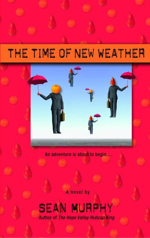 Cover of the book The Time of New Weather by Sean Murphy, Random House Publishing Group