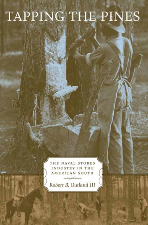 Cover of the book Tapping the Pines by Robert B. Outland III, LSU Press