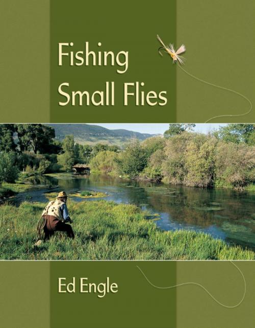 Cover of the book Fishing Small Flies by Ed Engle, Stackpole Books