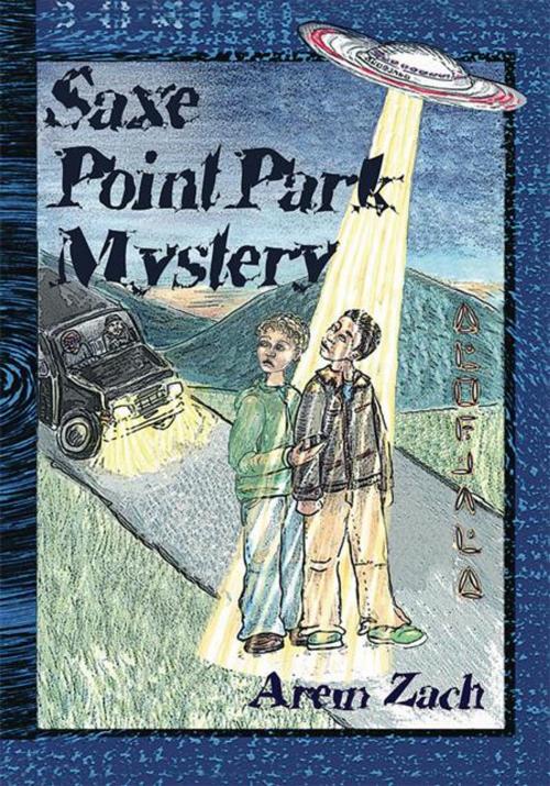 Cover of the book The Saxe Point Park Mystery by Neil Holland, Trafford Publishing