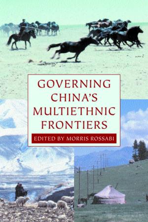 Cover of the book Governing China's Multiethnic Frontiers by Stephen J. Pyne