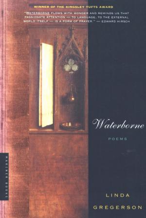 Cover of the book Waterborne by Scott O'Dell