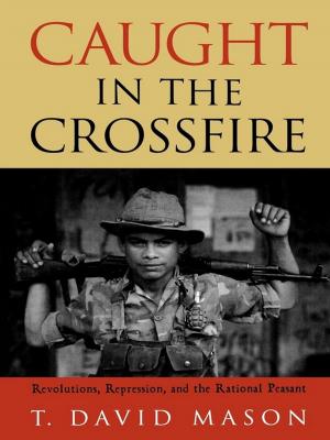 Cover of the book Caught in the Crossfire by Martin B Gold