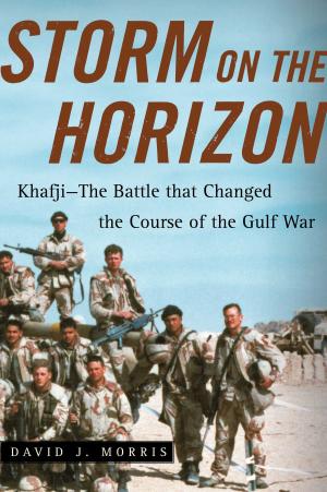 Cover of the book Storm on the Horizon by David Warsh