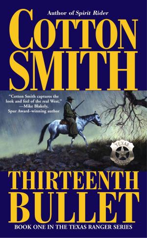 Book cover of The Thirteenth Bullet