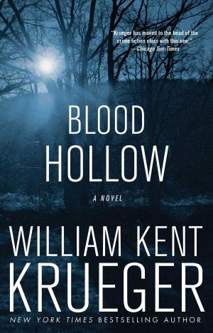 bigCover of the book Blood Hollow by 