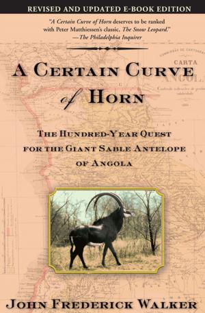 Cover of the book A Certain Curve of Horn by Bob Shacochis