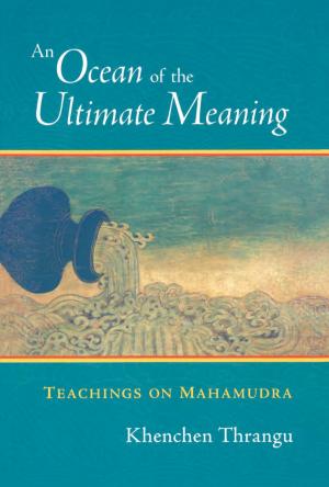Cover of the book An Ocean of the Ultimate Meaning by John Stevens
