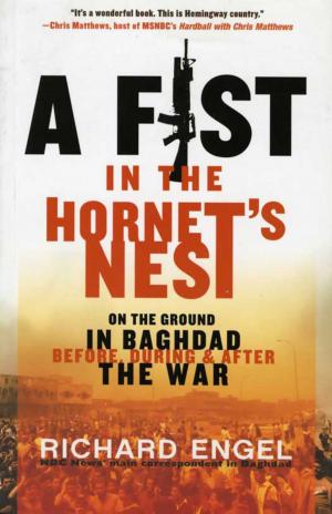 Book cover of A Fist in the Hornet's Nest