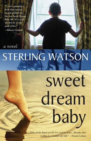 Cover of the book Sweet Dream Baby by Sheryl Berk, Carrie Berk