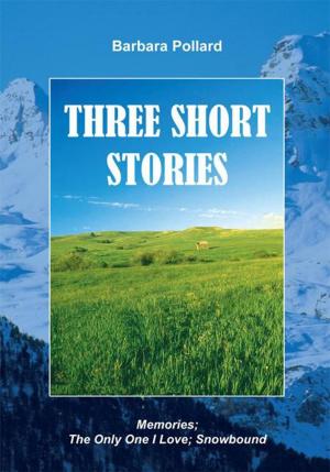 Cover of the book Three Short Stories by Conner McCue