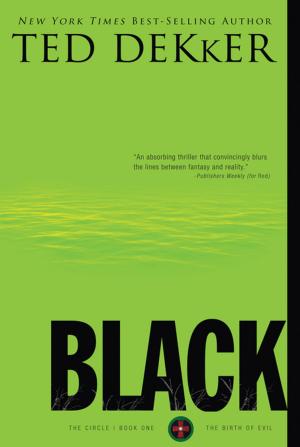 Cover of the book Black by Pamela M. Richter