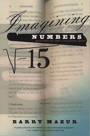 Cover of the book Imagining Numbers by Jennifer Baumgardner, Amy Richards