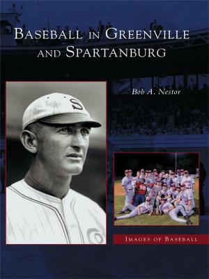 Cover of the book Baseball in Greenville and Spartanburg by Harry A. Ezratty