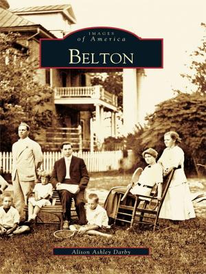 Cover of the book Belton by Jeff Stein