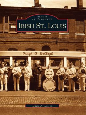 Cover of the book Irish St. Louis by Jim Morrow