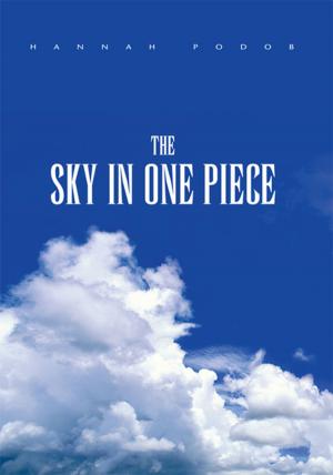 Book cover of The Sky in One Piece