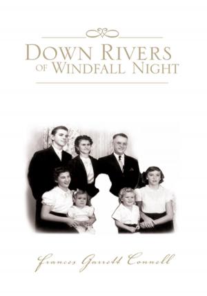 Cover of the book Down Rivers of Windfall Night by Laura Lyseight