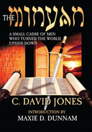 Cover of the book The Minyan by Douglas Grady