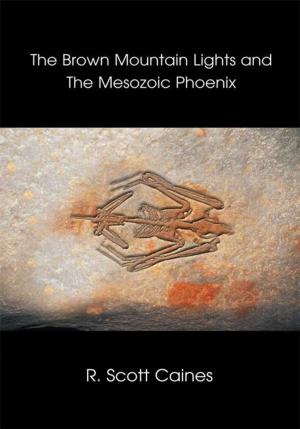 Cover of the book The Brown Mountain Lights and the Mesozoic Phoenix by Dr. Susan: The Gramma Guru