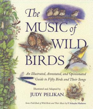 Cover of the book The Music of Wild Birds by Donald Kroodsma