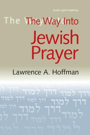 Cover of the book The Way Into Jewish Prayer by Rabbi Jeffrey K. Salkin