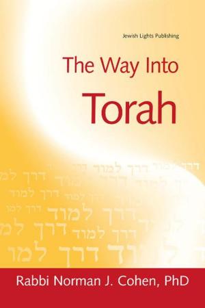 Cover of the book The Way Into Torah by Rabbi Edwin Goldberg, DHL