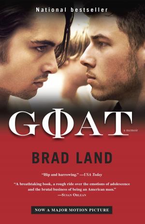 Cover of the book Goat by Stacia Kane