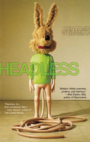 Cover of the book Headless by Edwidge Danticat