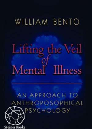 Cover of the book Lifting the Veil of Mental Illness by Rudolf Steiner, Paul Margulies